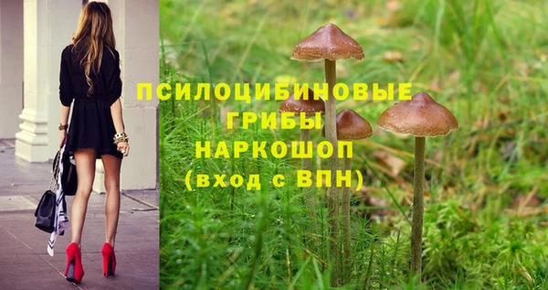 ECSTASY Арсеньев