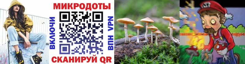 Псилоцибиновые грибы ЛСД Камбарка